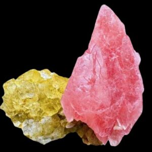 Vigoplan | Minervigo 2026 Vigo Feria