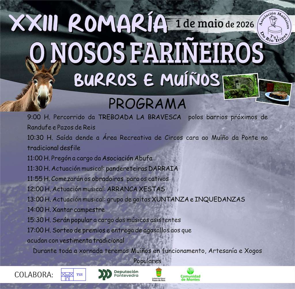 Vigoplan | Romaria De Os Nosos Fariñeiros Burros E Muiños Tui Img6582n1t0