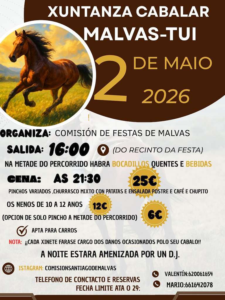 Vigoplan | Xuntanza Cabalar De Malvas Tui Img11744n1t0