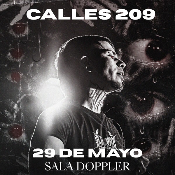 Vigoplan | Calles 209