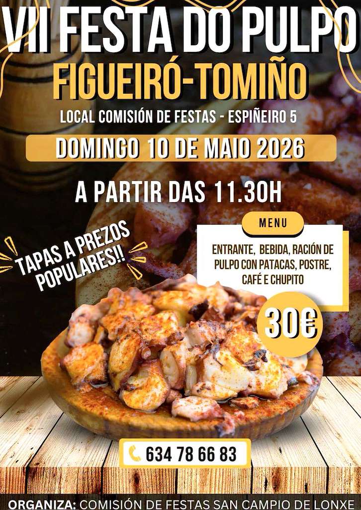 Vigoplan | Festa Do Pulpo