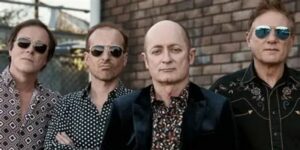 Vigoplan | Hoodoo Gurus