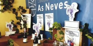 Vigoplan | Festa Do Tinto