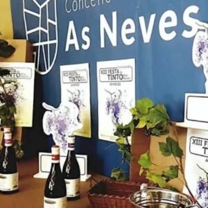 Vigoplan | Festa Do Tinto
