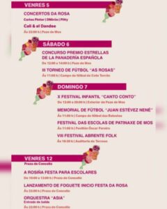 Vigoplan | Festa Da Rosa De Mos (1)