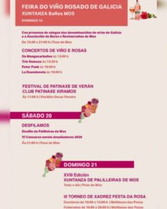 Vigoplan | Festa Da Rosa De Mos (2)