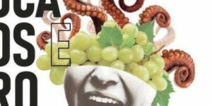 Vigoplan | Bocados E Grolos (2)
