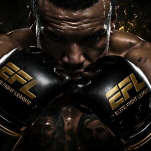 Vigoplan | Elite Fight League 2026 Vigo Ifevi