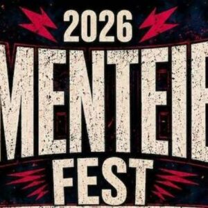 Vigoplan | Lamenteibol Fest