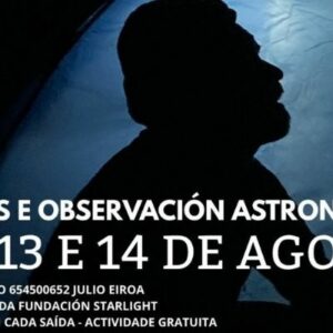 Vigoplan | Perseidas