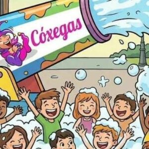Vigoplan | Festa Da Espuma (2)
