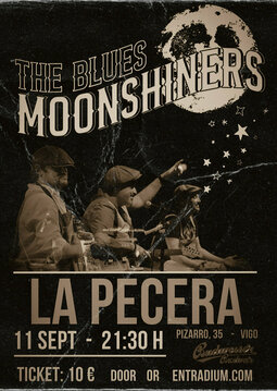 Vigoplan | The Blues Moonshiners 1