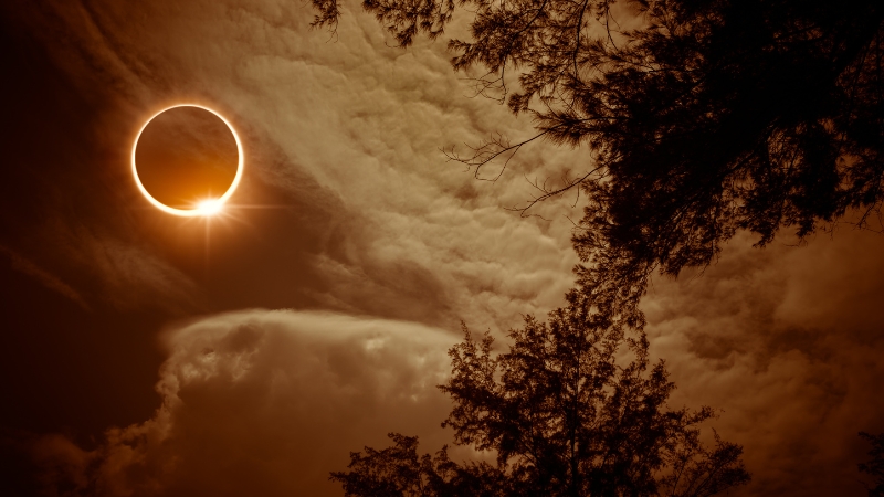 Vigoplan | Eclipse Solar En Tui (2)